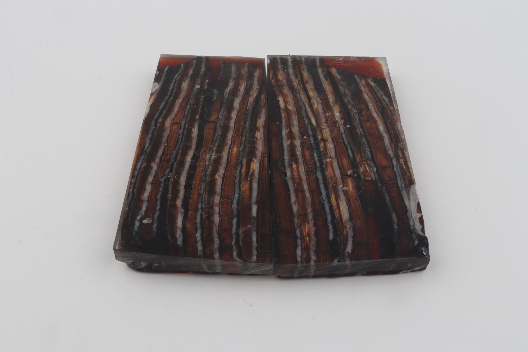 Stabilized mammoth molar scales