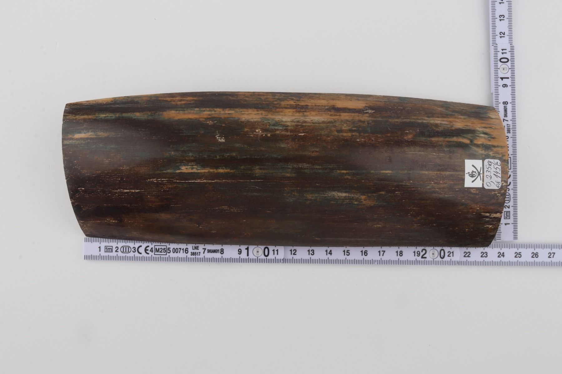 Brown-blue mammoth bark