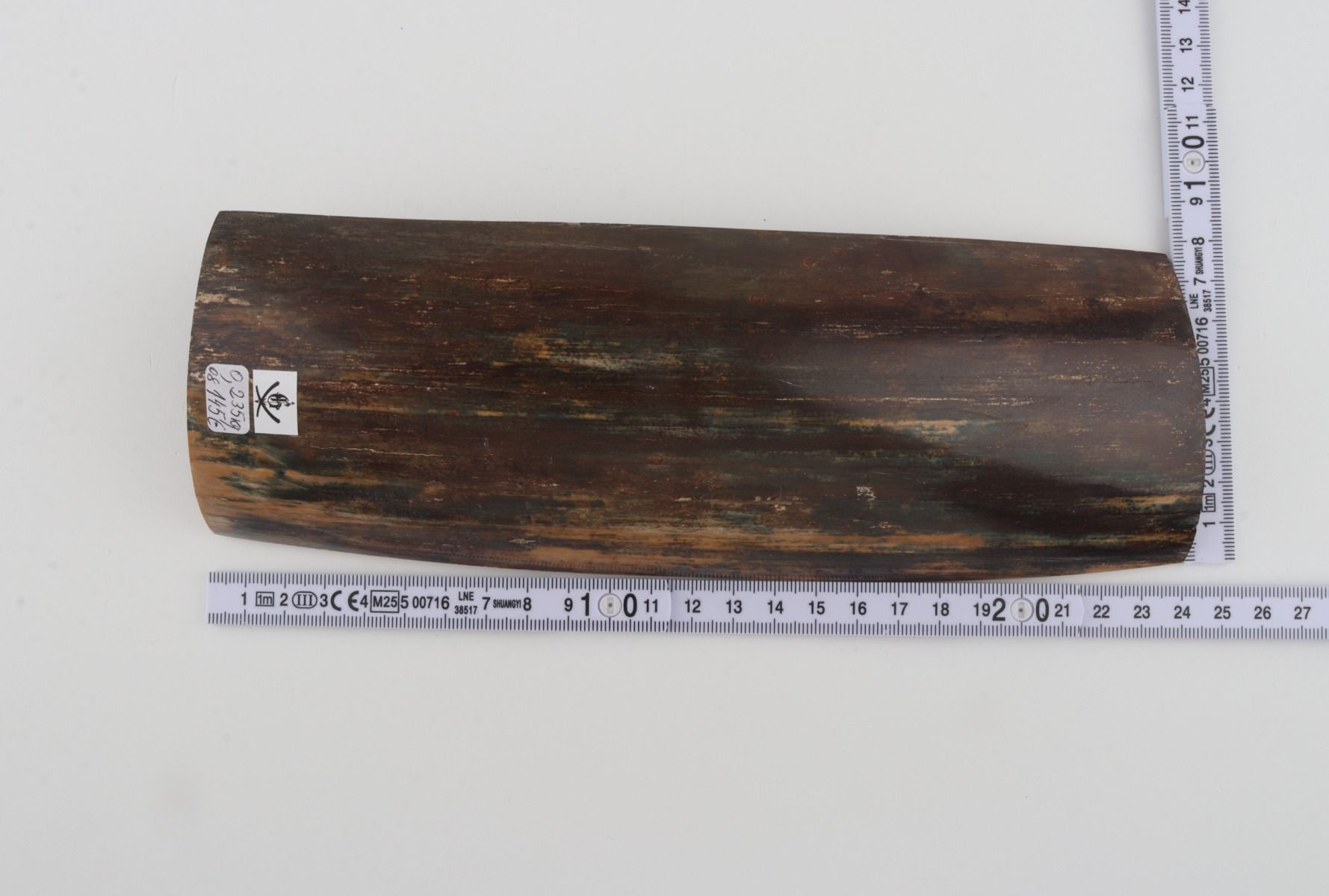 Brown-blue mammoth bark