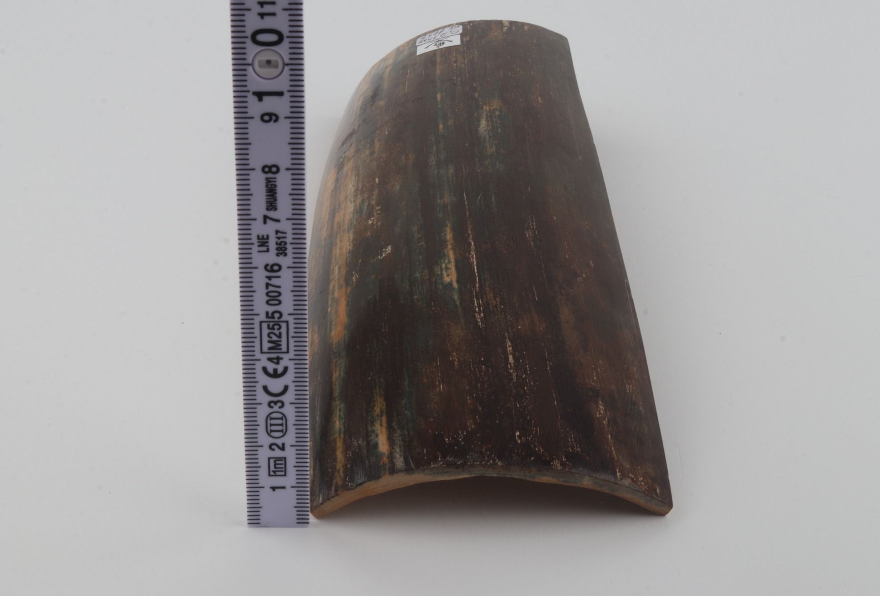 Brown-blue mammoth bark