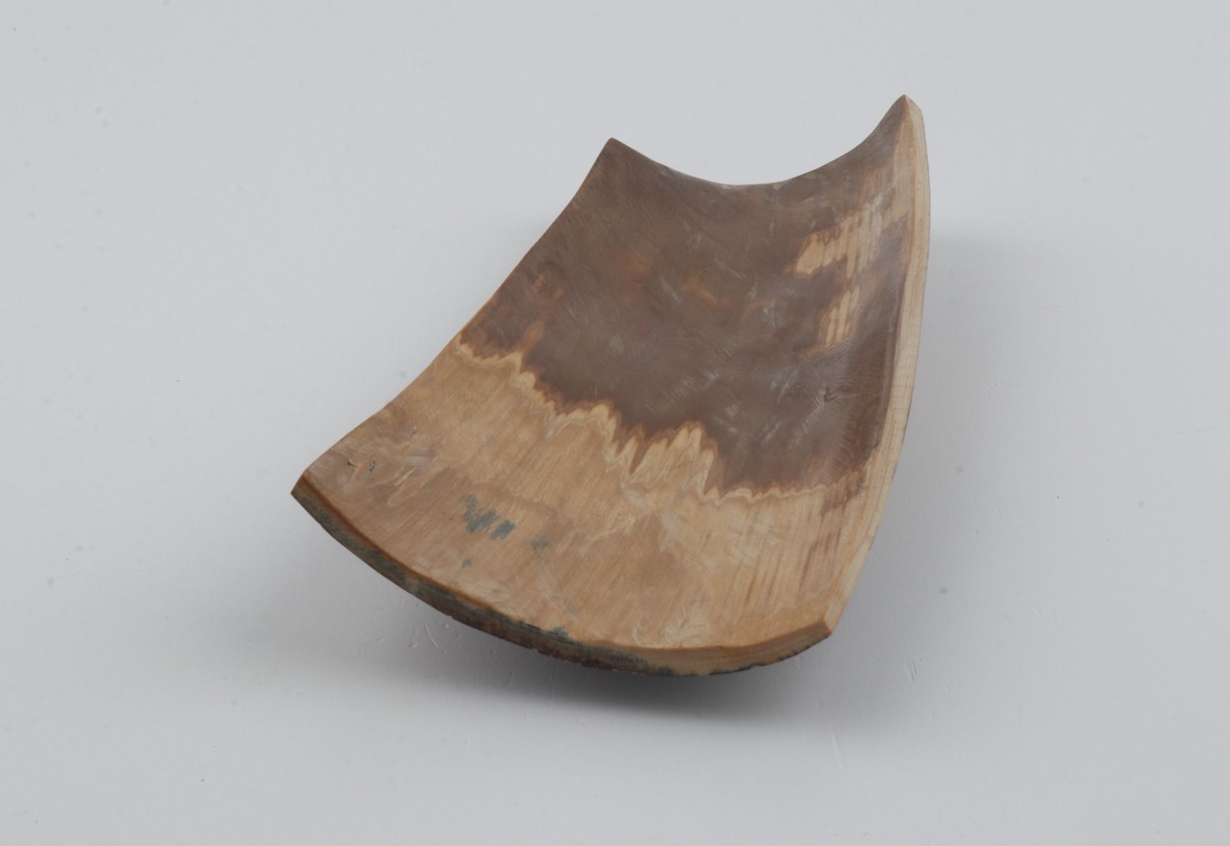 Brown-blue mammoth bark