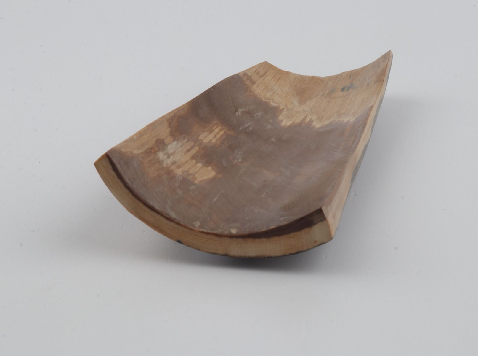 Brown-blue mammoth bark