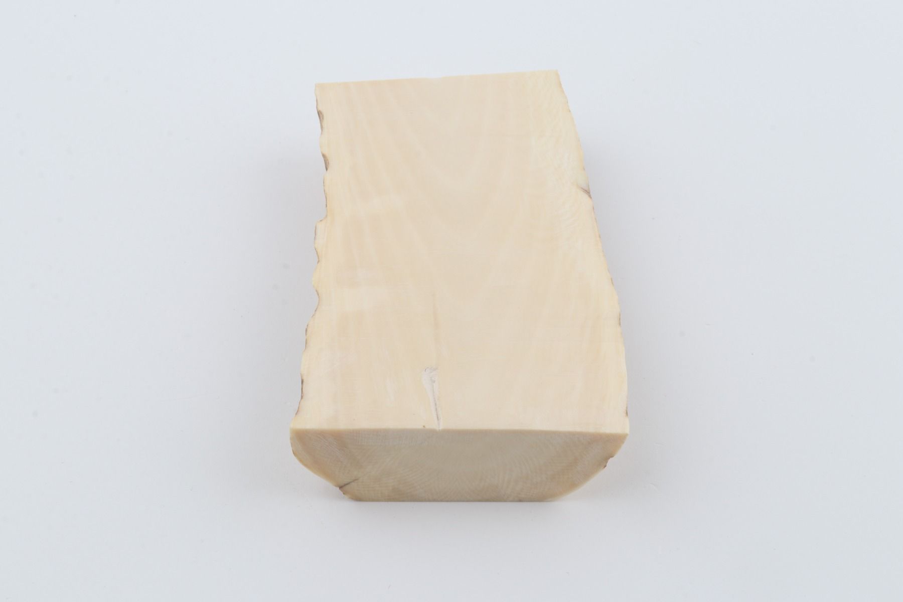White mammoth ivory segment