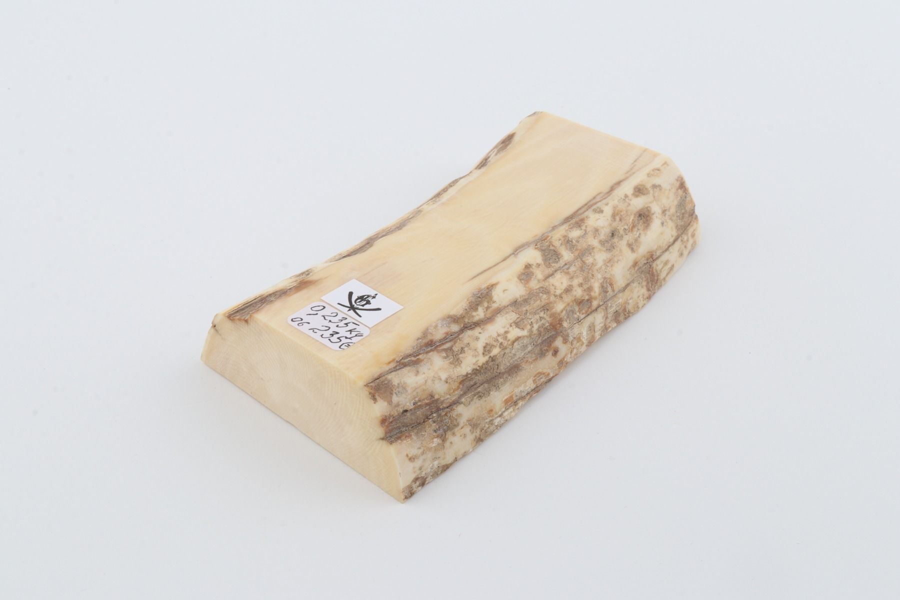White mammoth ivory segment