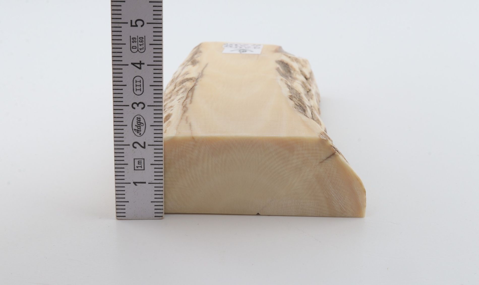 White mammoth ivory segment