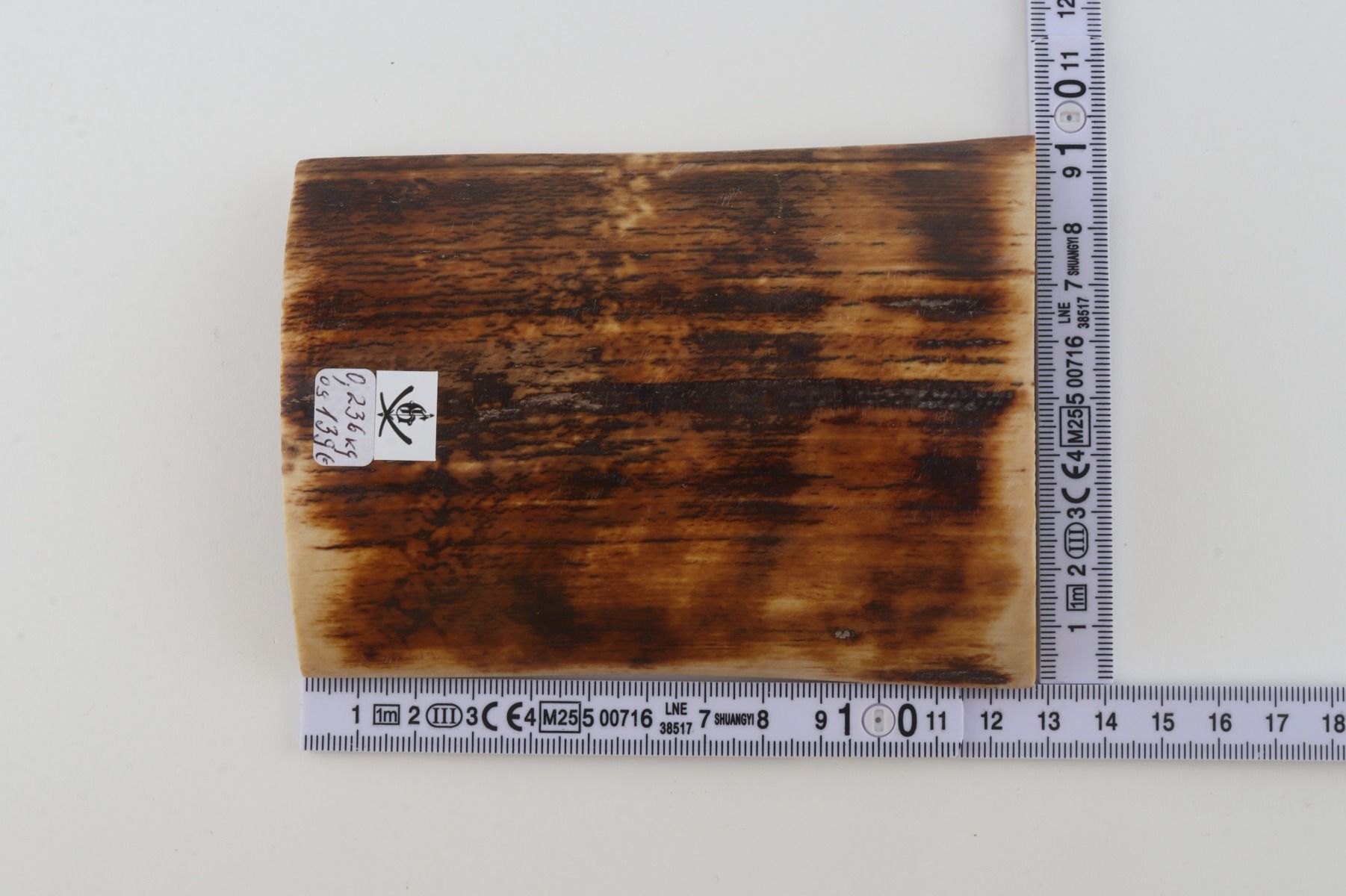 Brown-orange mammoth bark