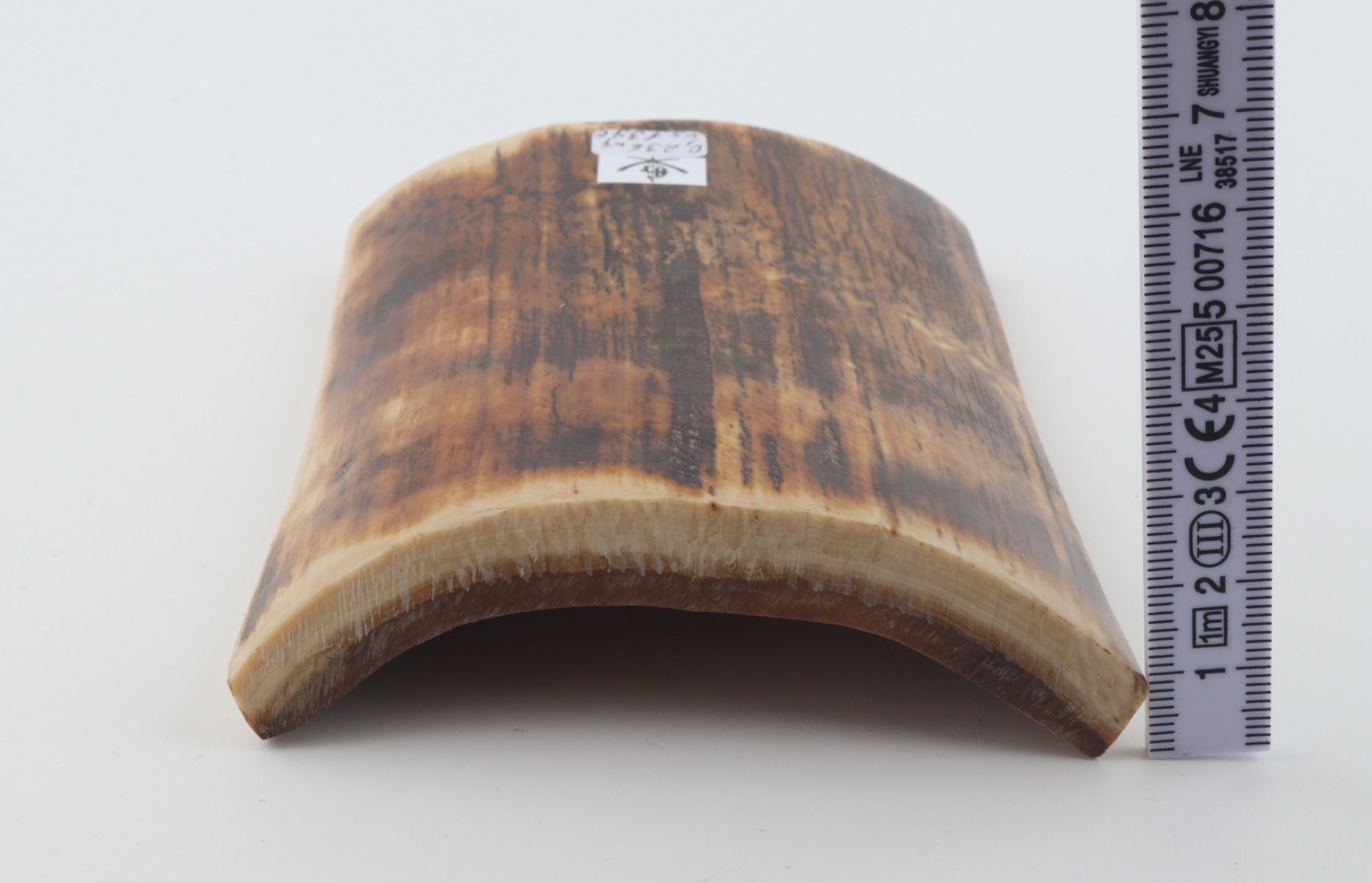 Brown-orange mammoth bark