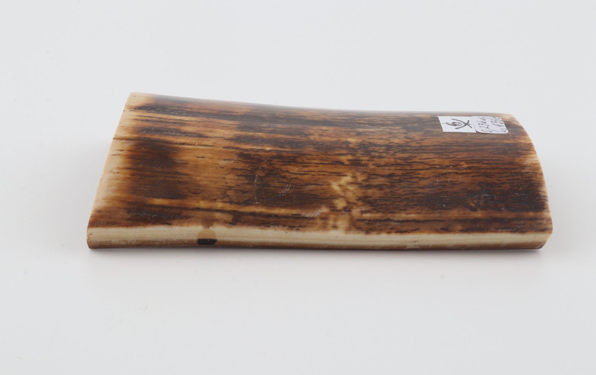 Brown-orange mammoth bark
