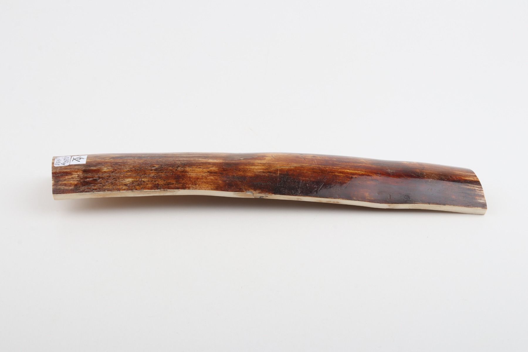 Brown-red mammoth bark