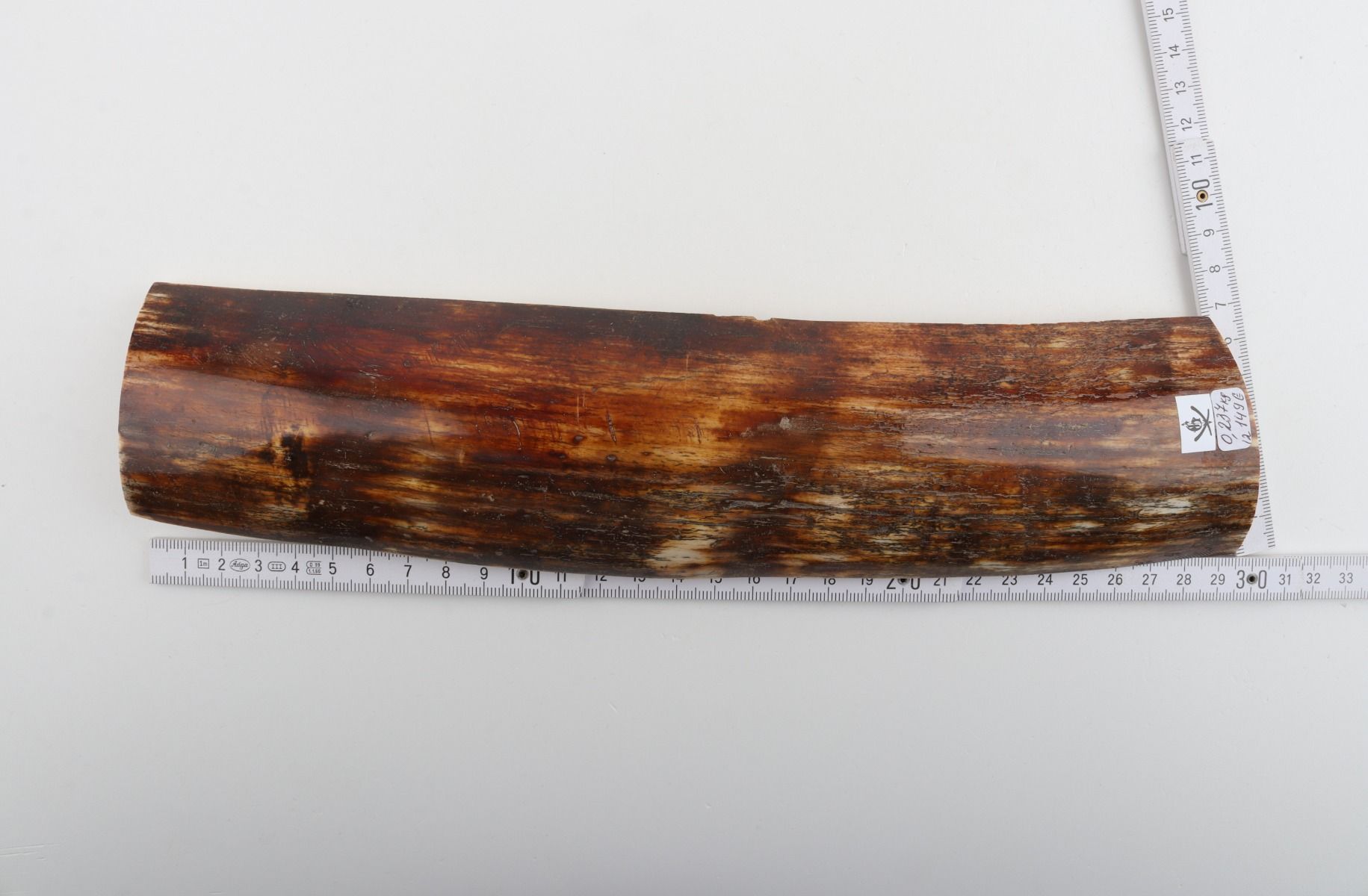 Brown-red mammoth bark