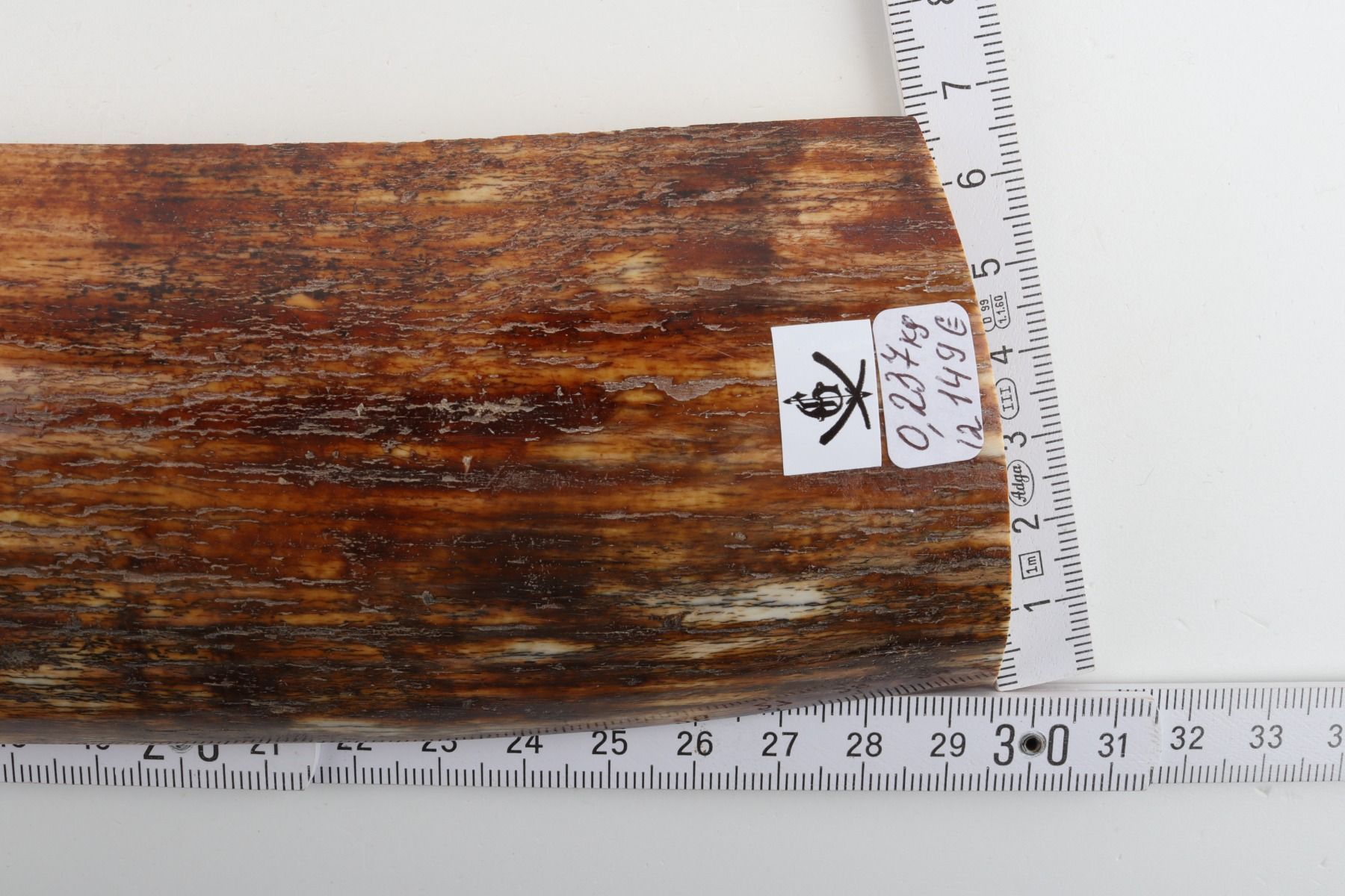 Brown-red mammoth bark