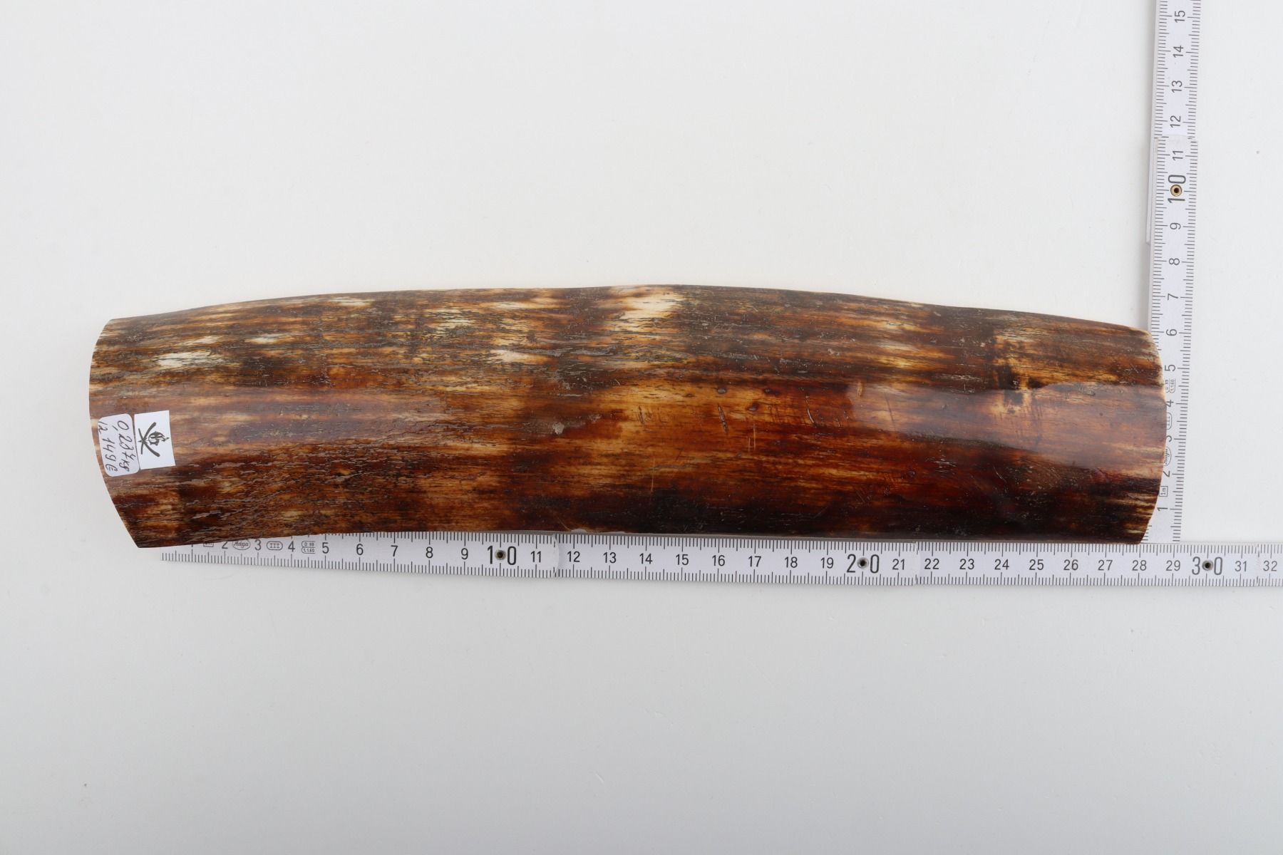 Brown-red mammoth bark