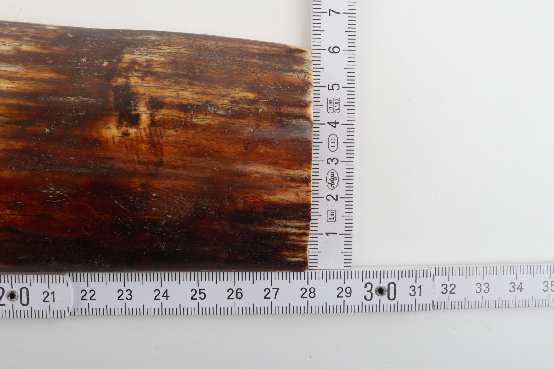 Brown-red mammoth bark