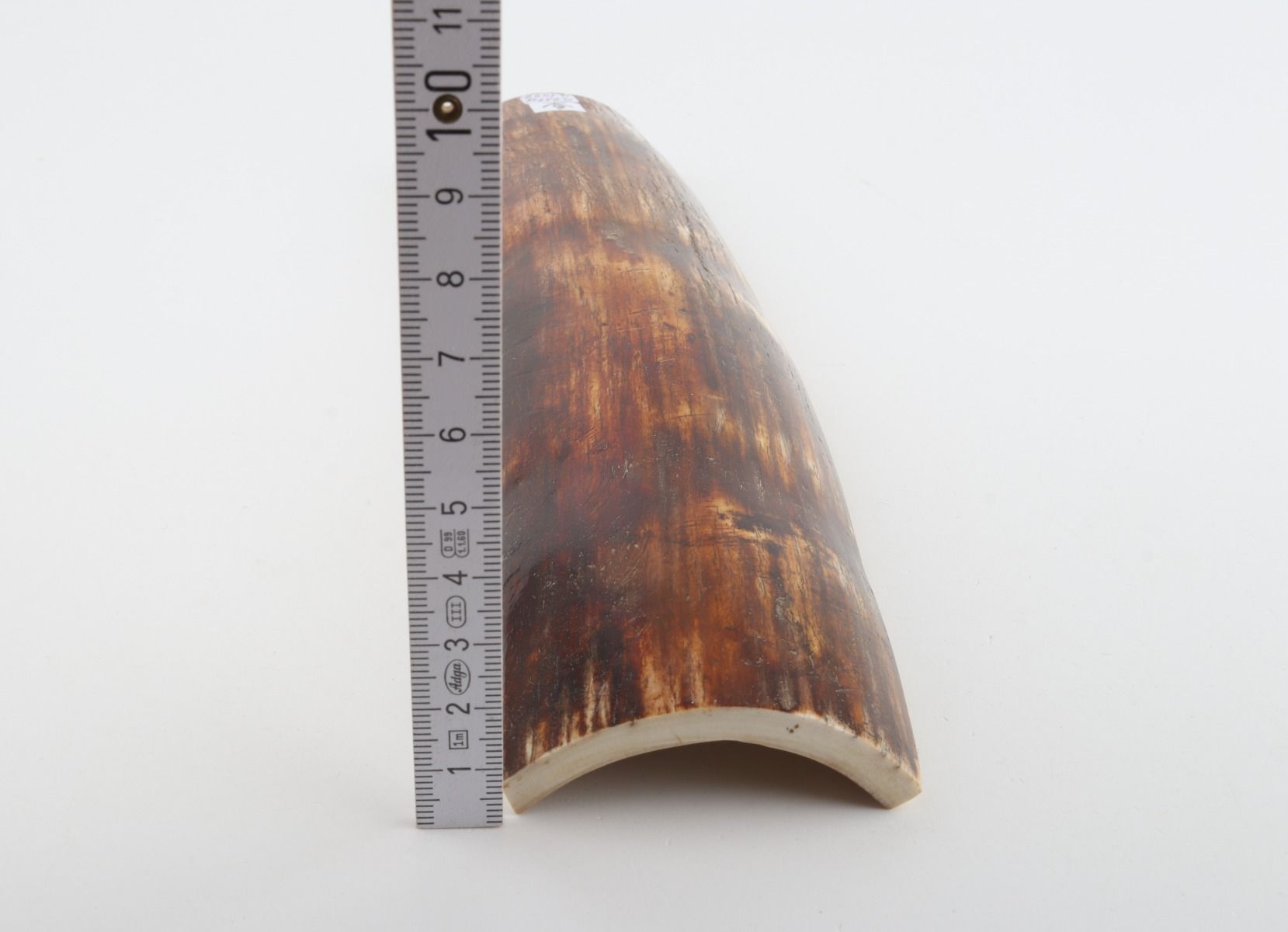 Brown-red mammoth bark
