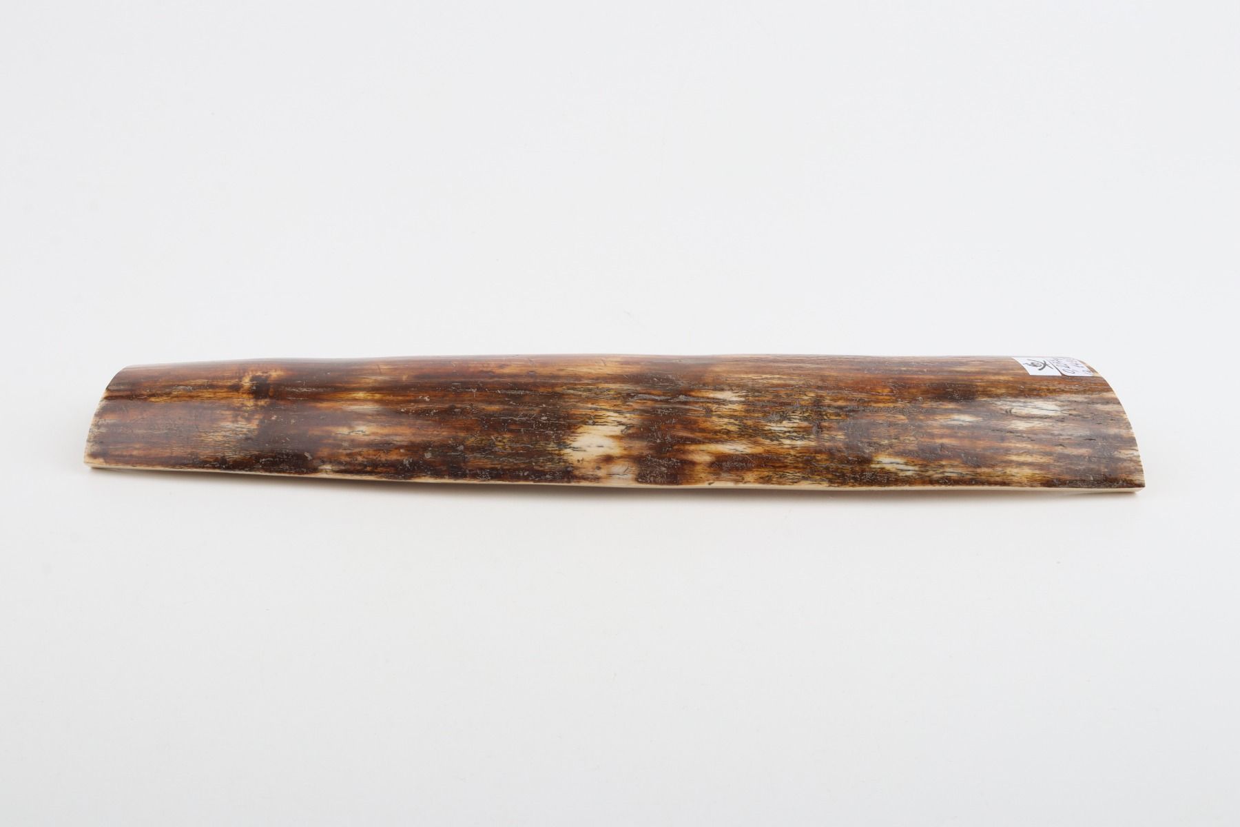 Brown-red mammoth bark