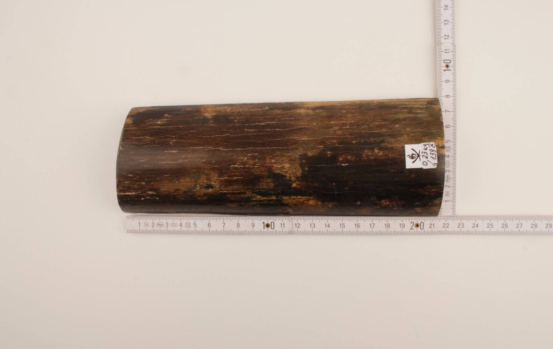 Brown-black mammoth bark