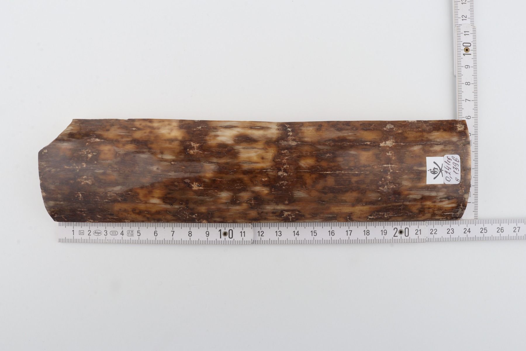 Brown mammoth bark
