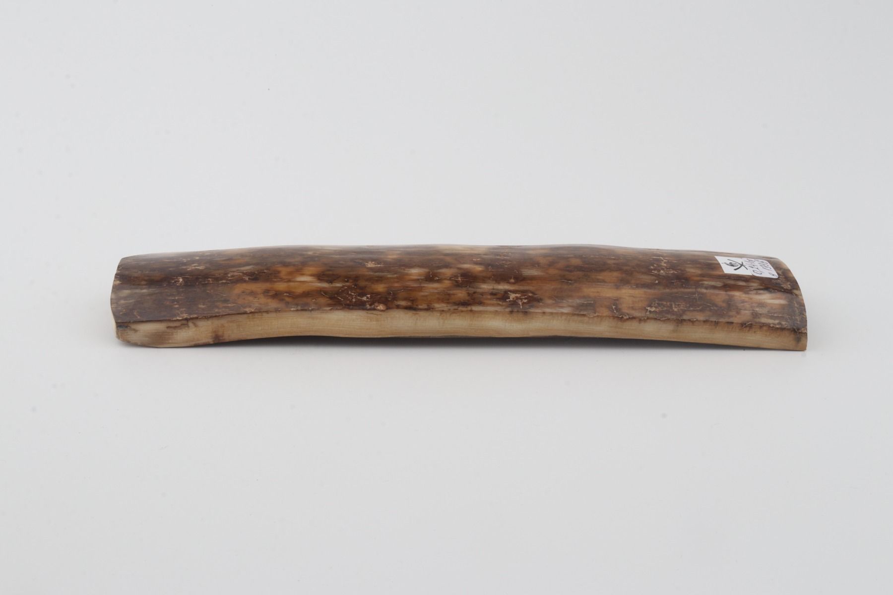Brown mammoth bark