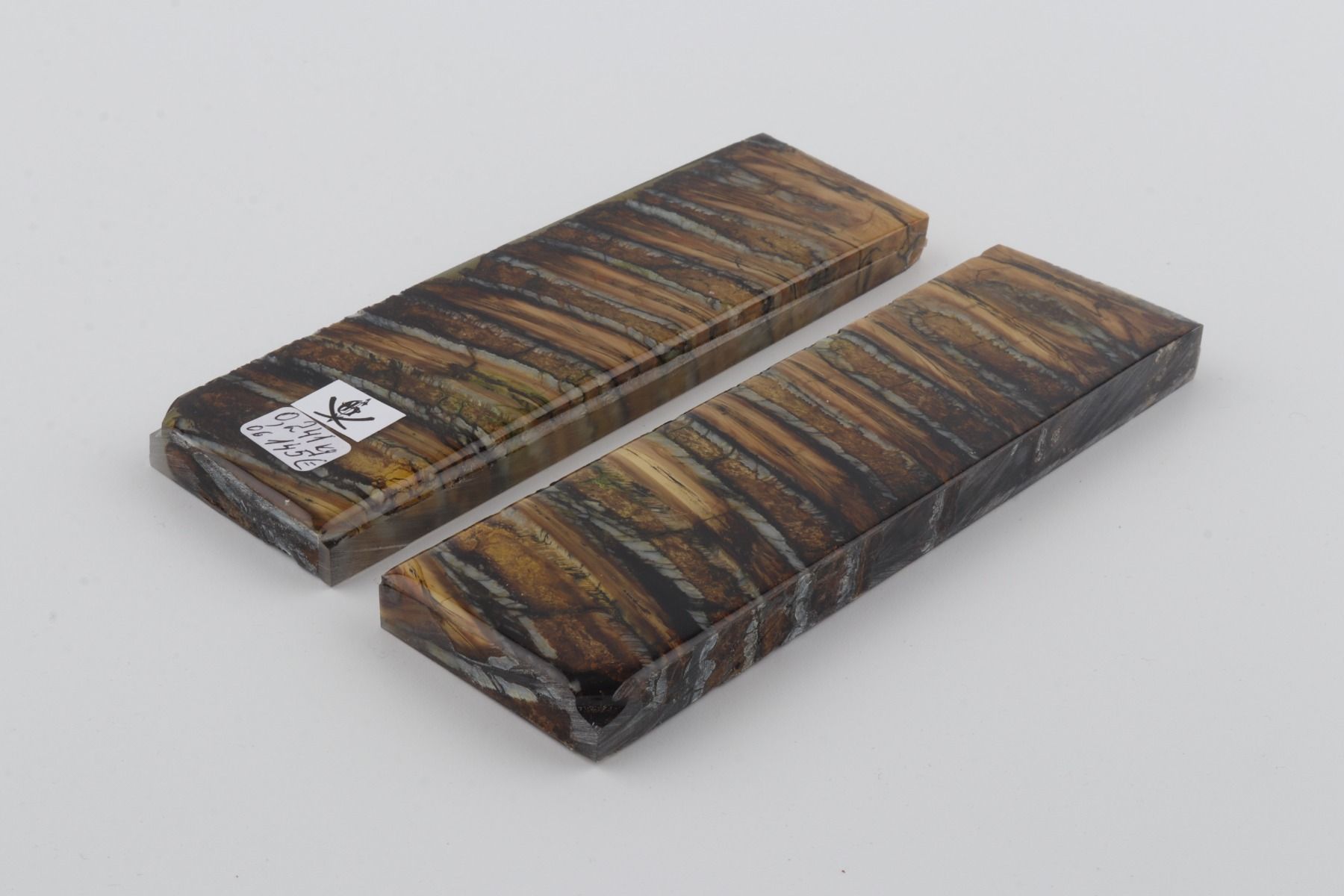 Stabilised mammoth molar scales