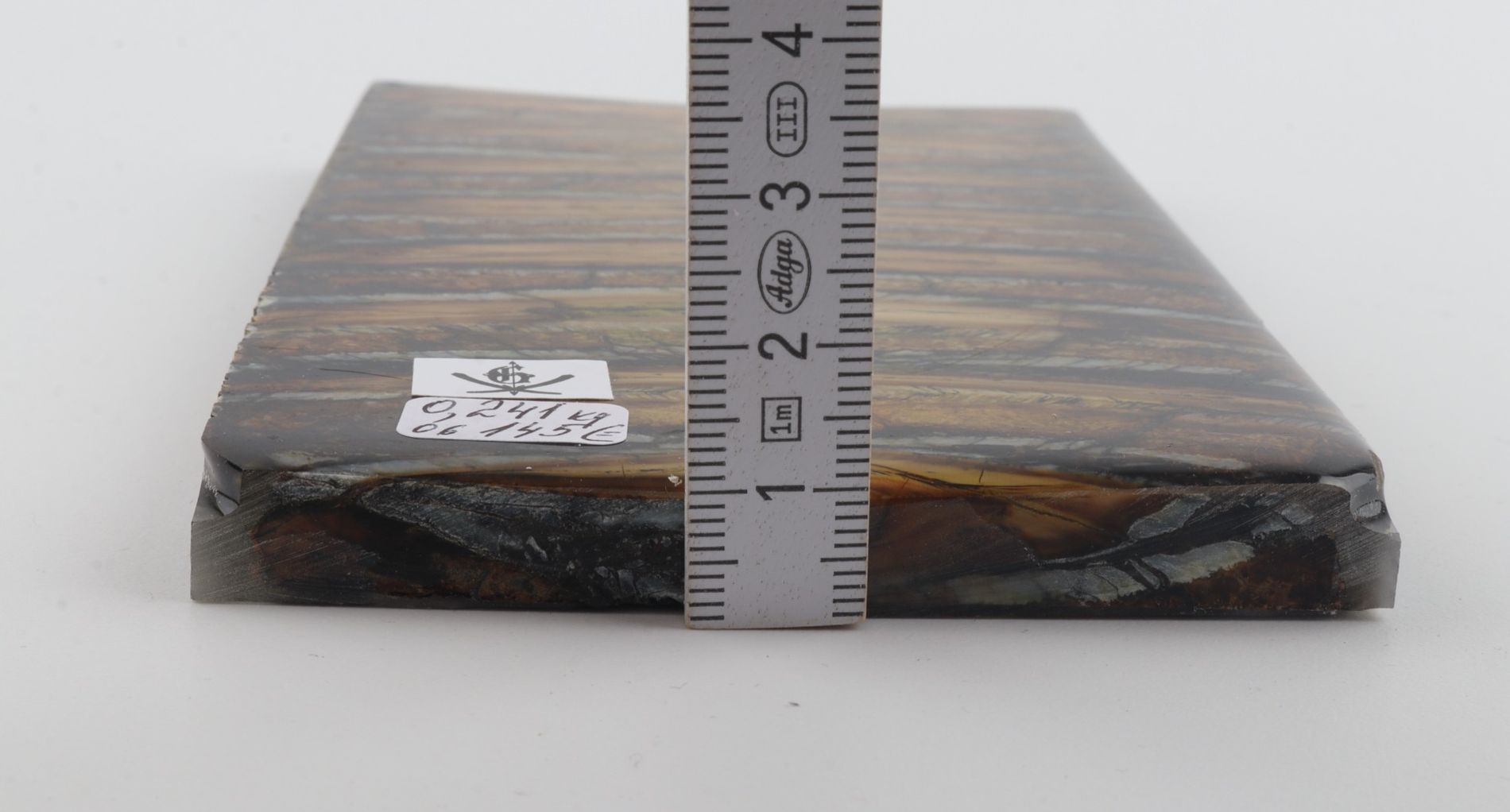 Stabilised mammoth molar scales