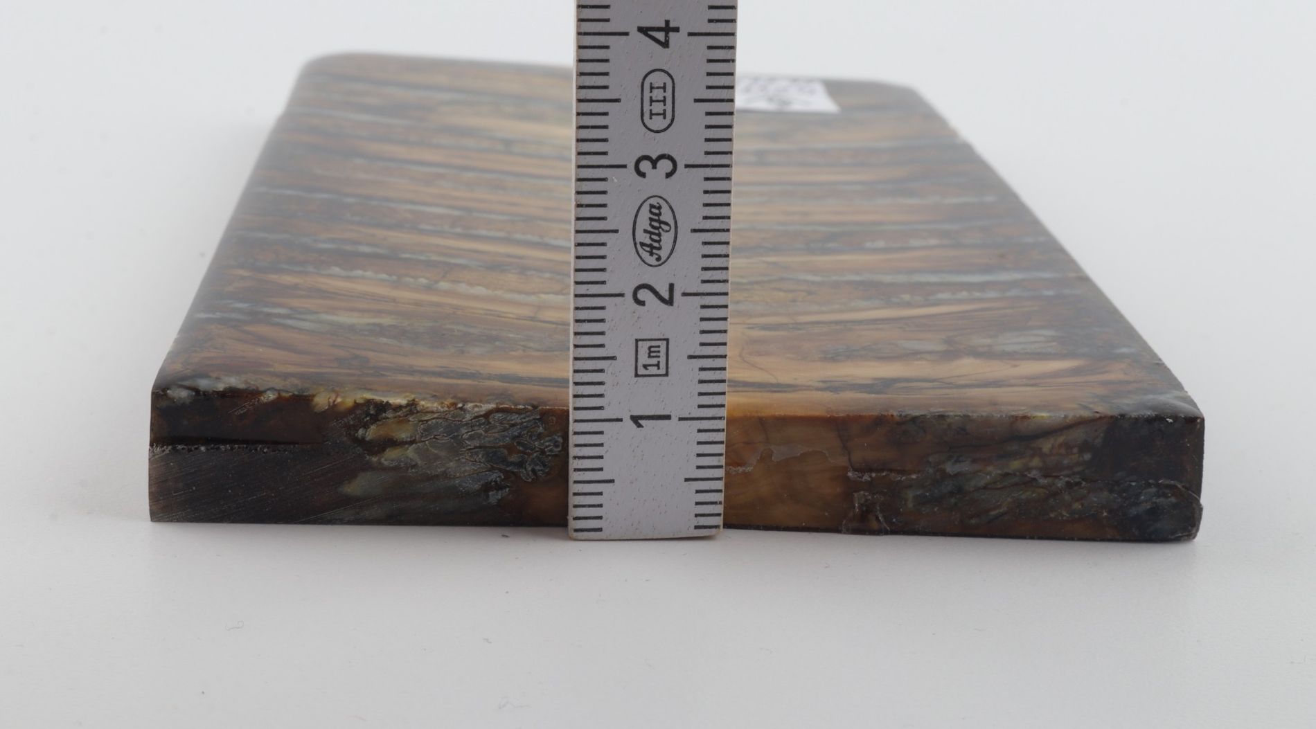 Stabilised mammoth molar scales