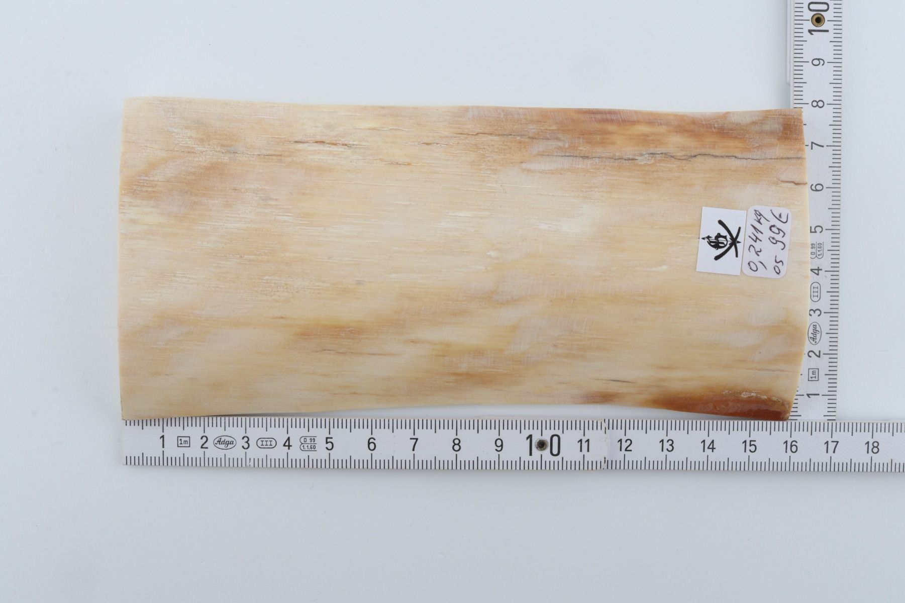White mammoth ivory piece