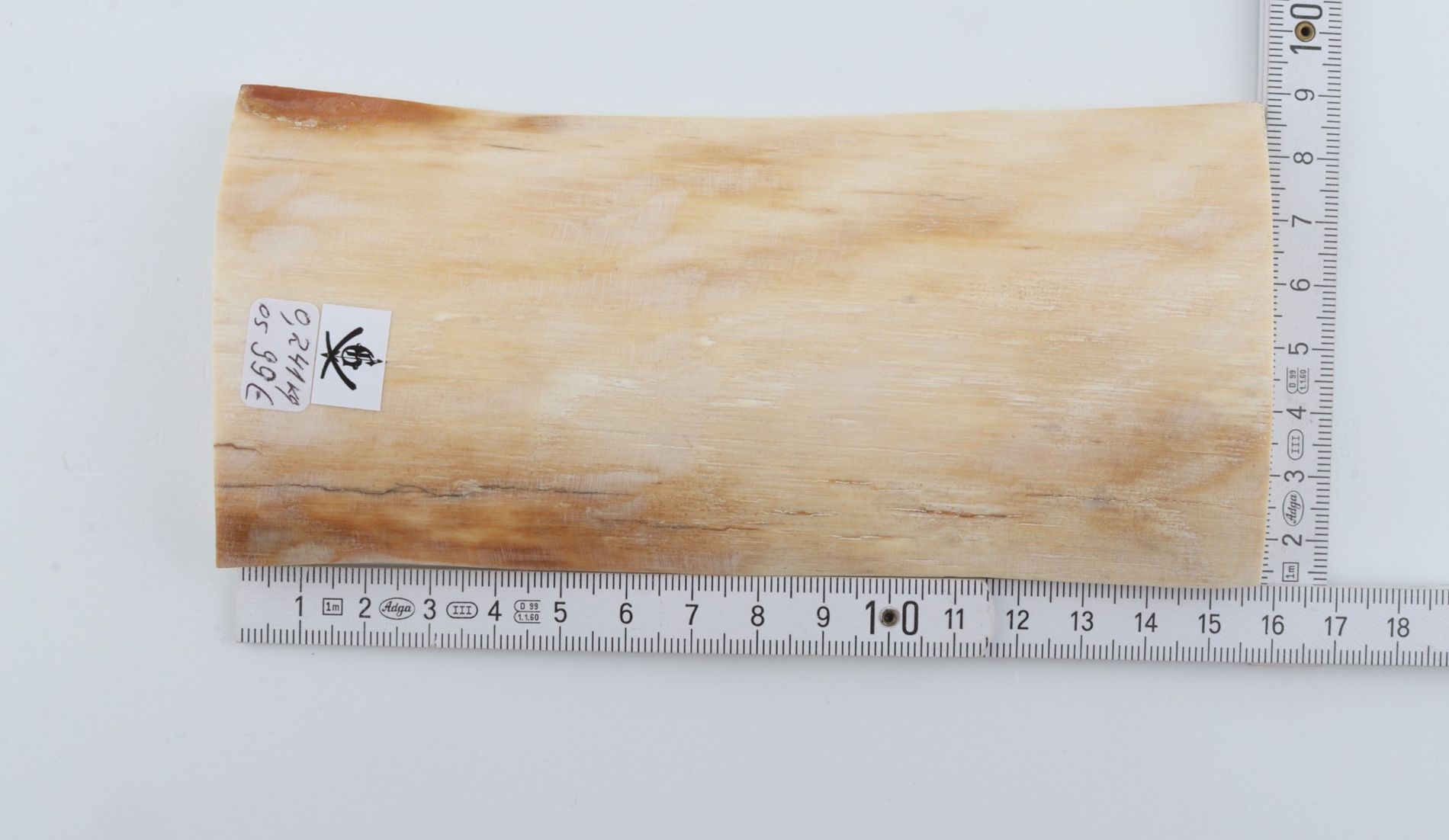White mammoth ivory piece