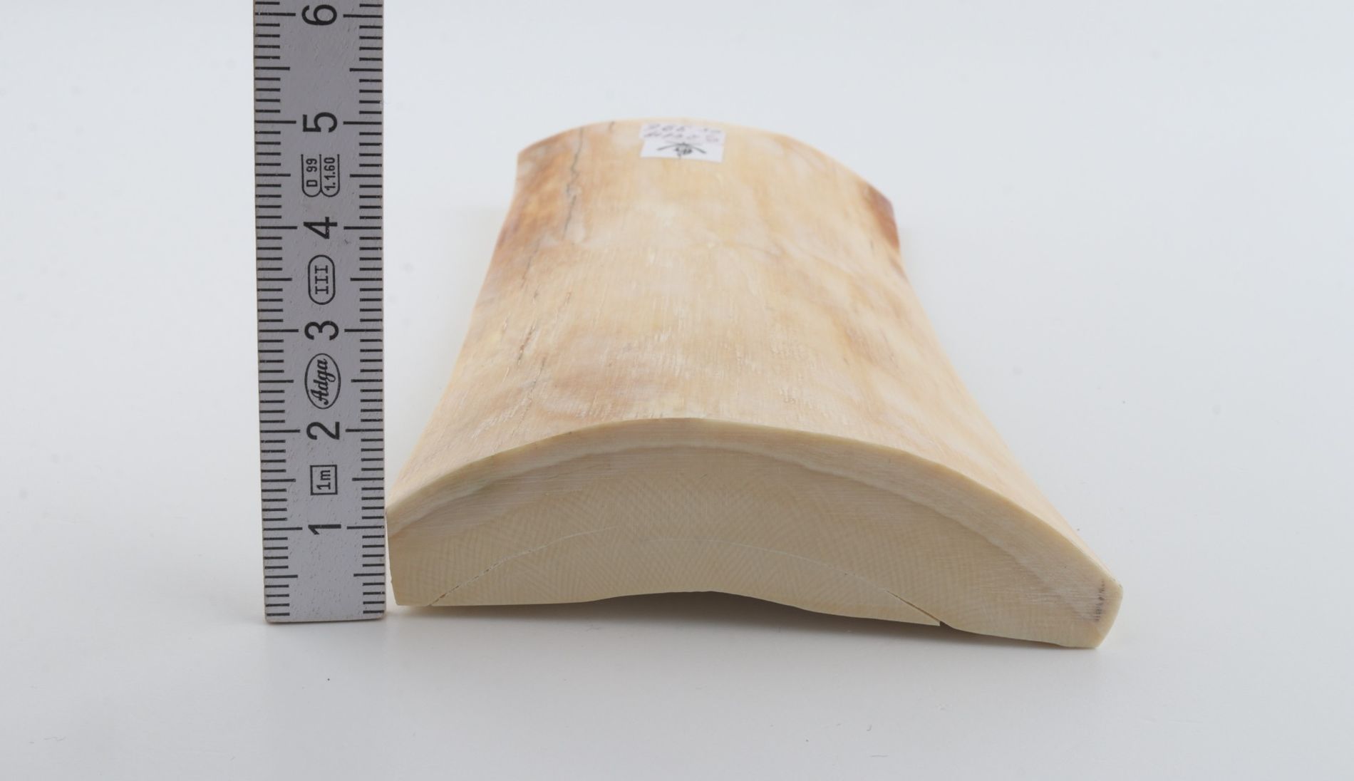 White mammoth ivory piece