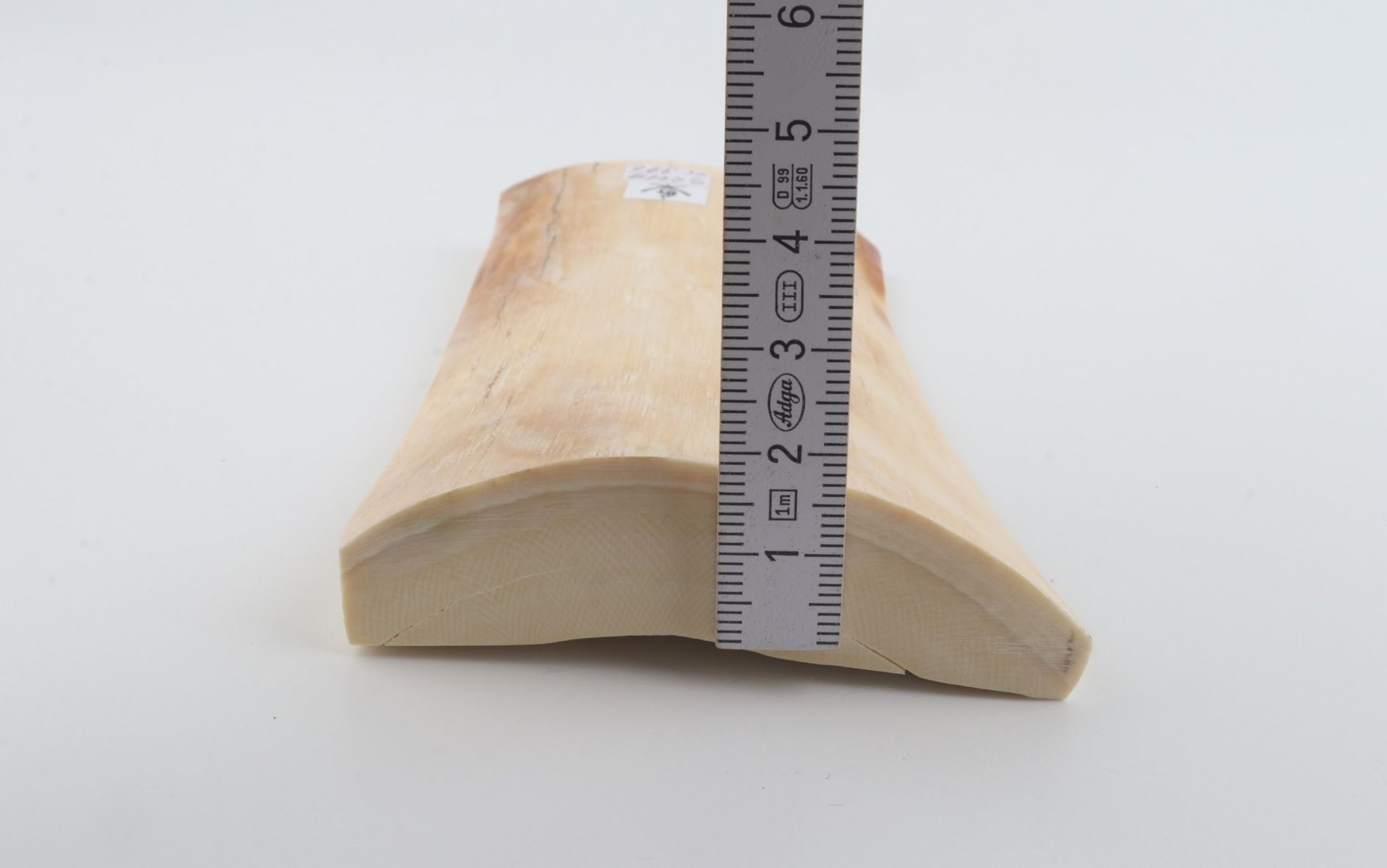 White mammoth ivory piece