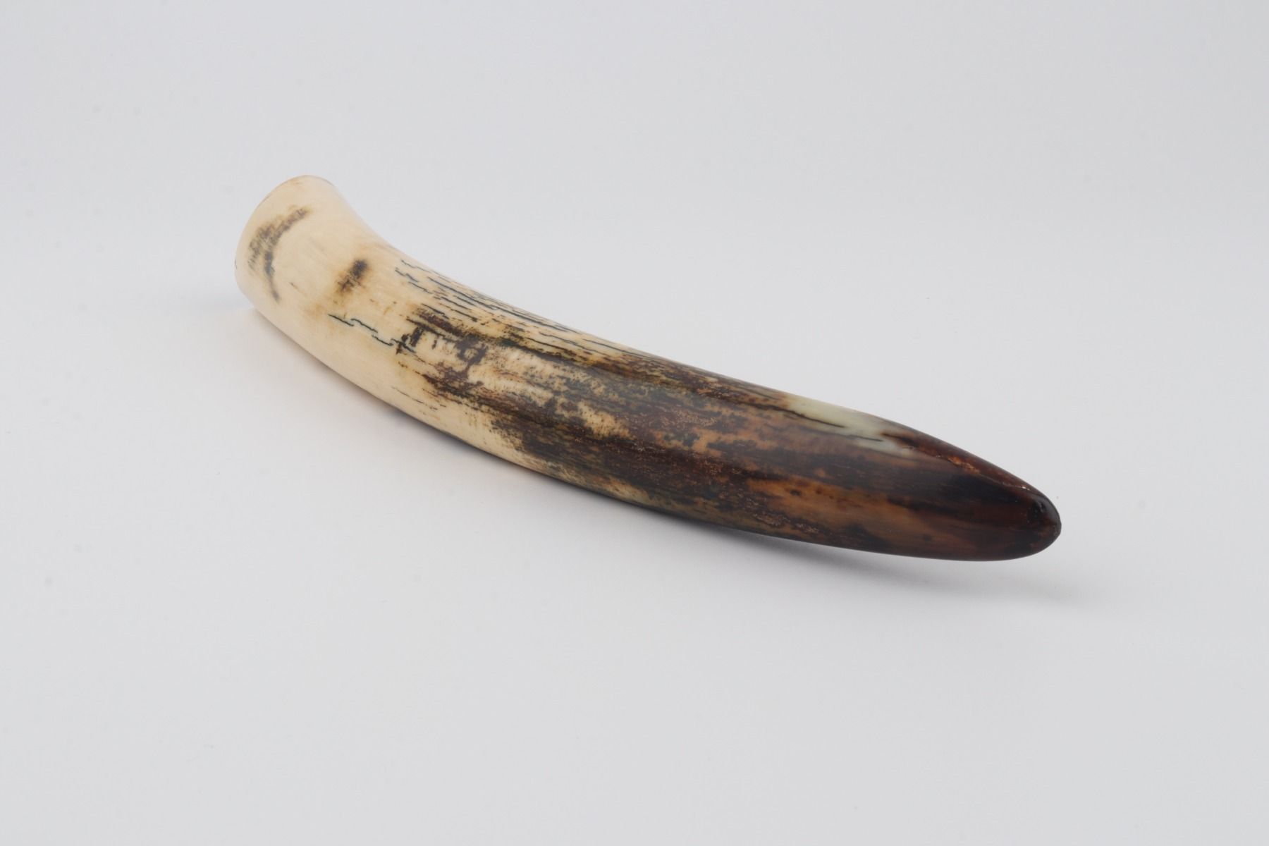 Restored mammoth tusk tip