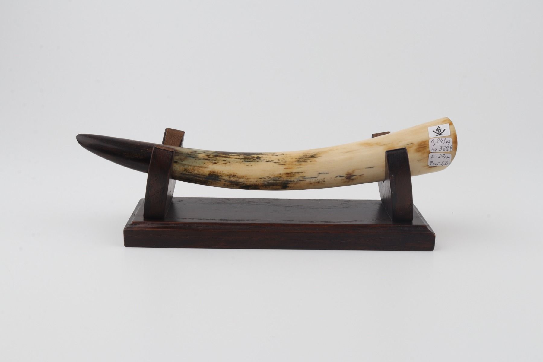 Restored mammoth tusk tip