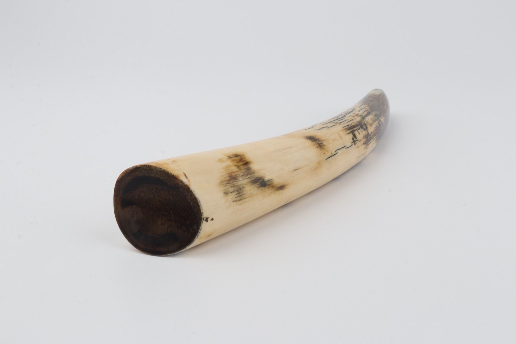 Restored mammoth tusk tip