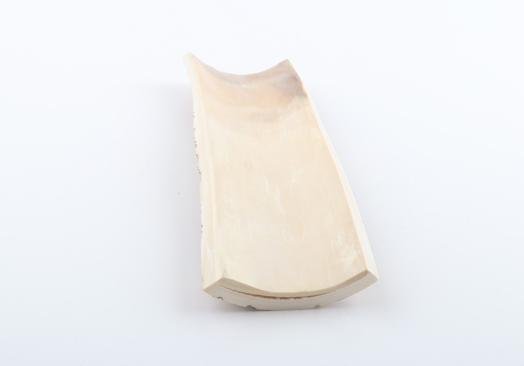 Beige mammoth bark