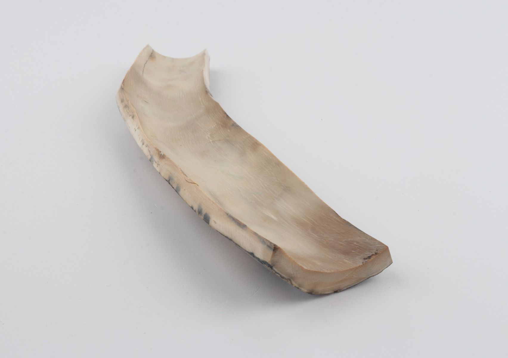 Grey-white mammoth bark