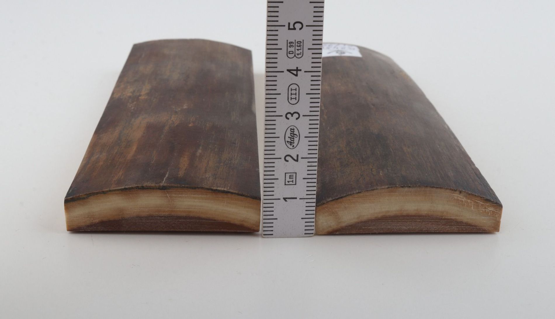 Natural mammoth bark scales