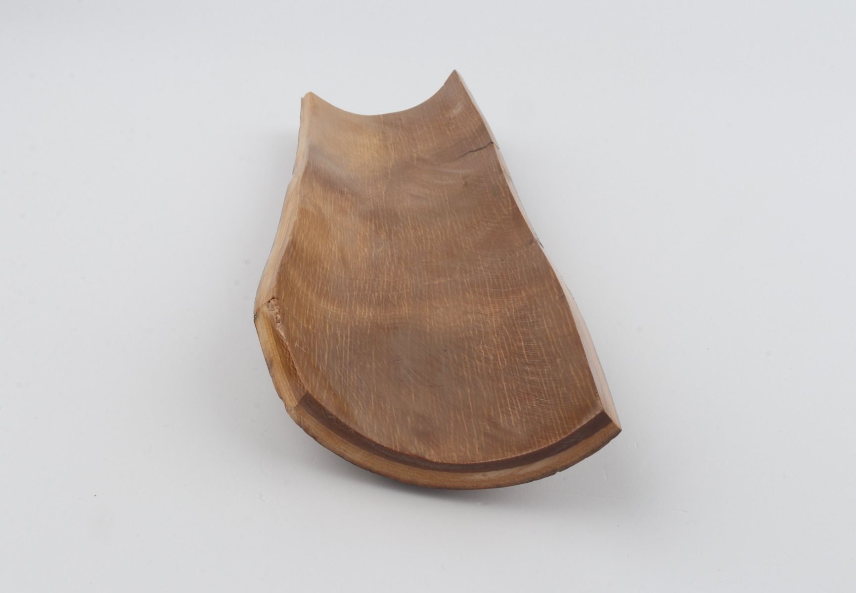 Brown mammoth bark