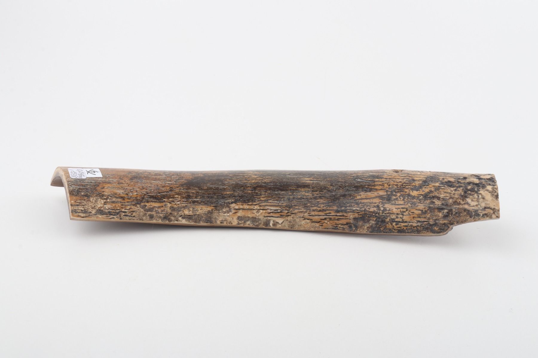 Beige-black mammoth bark
