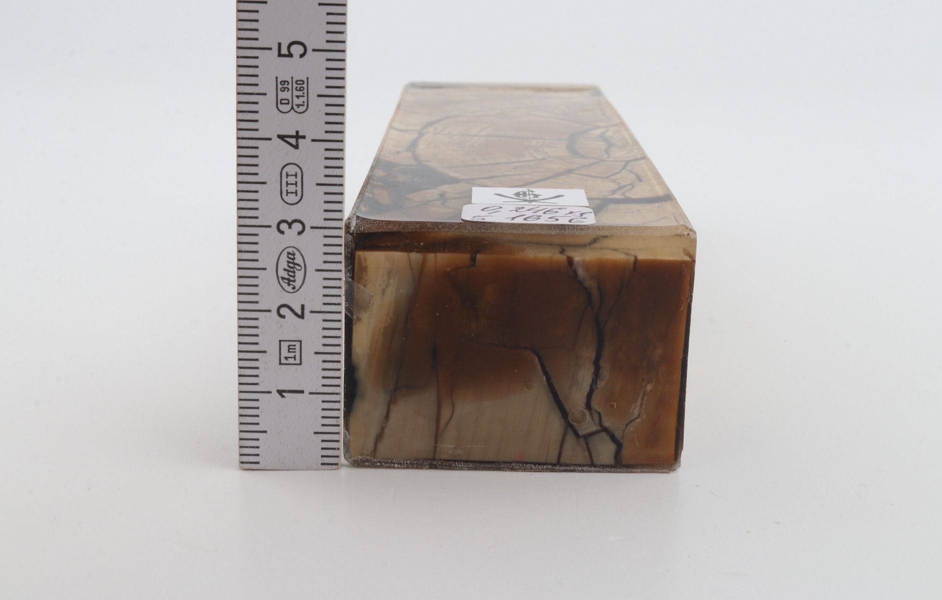 Stabilised mammoth ivory block