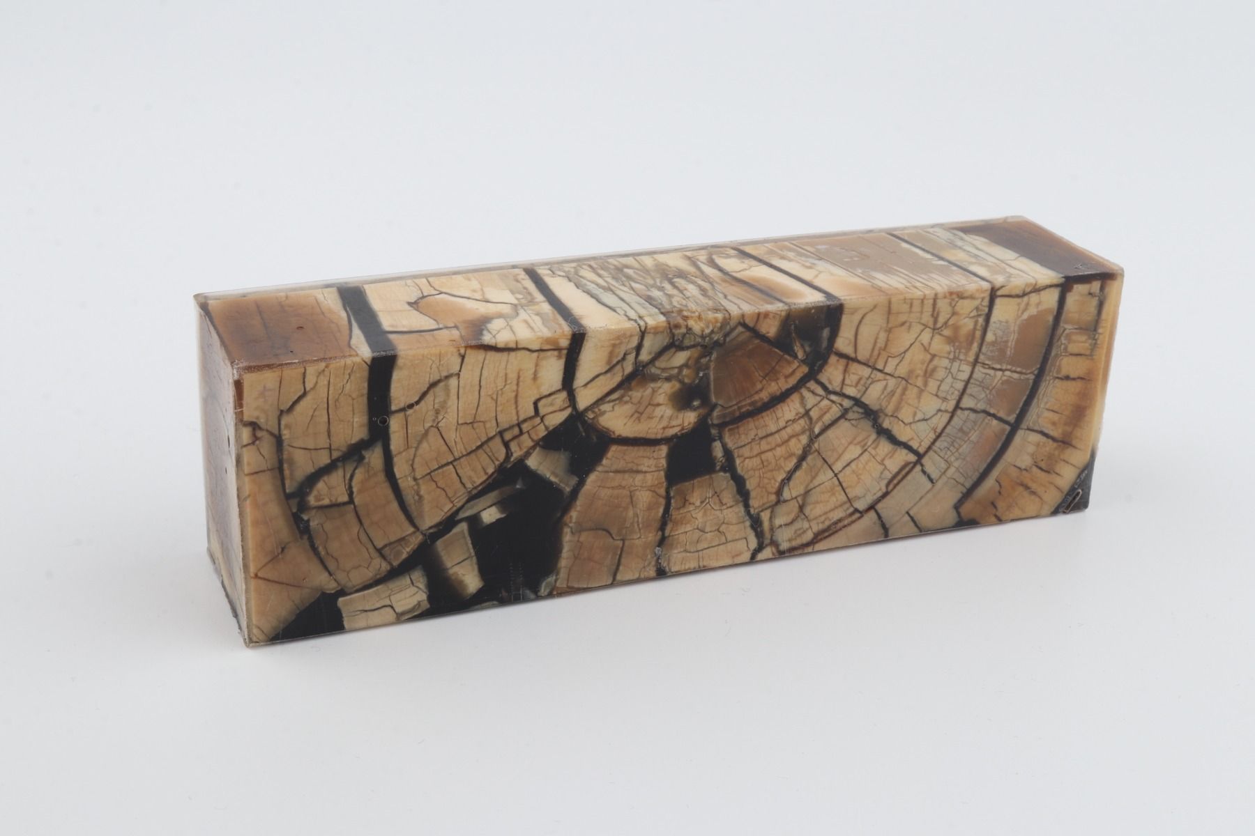 Stabilised mammoth ivory block