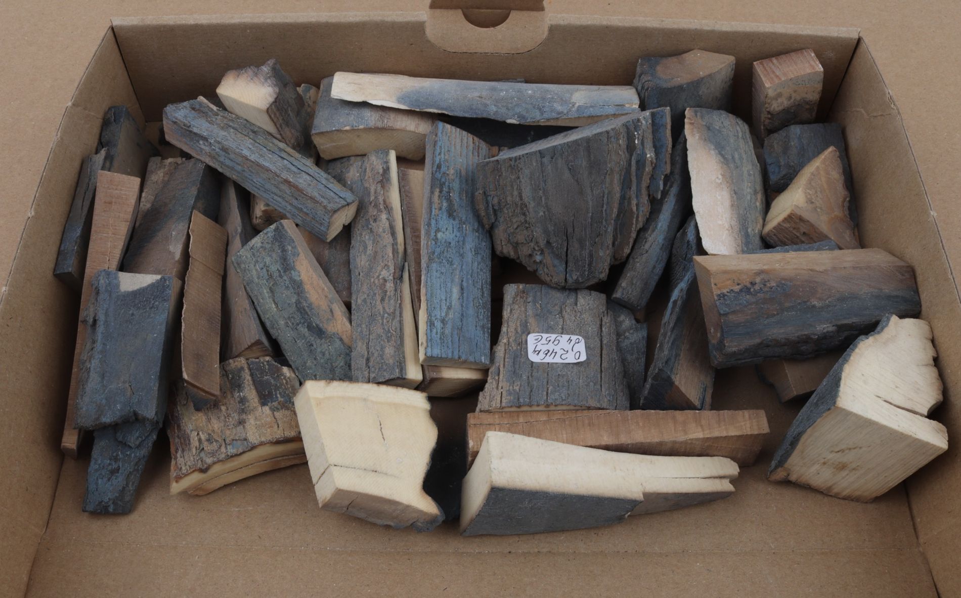 Untreated mammoth ivory offcuts