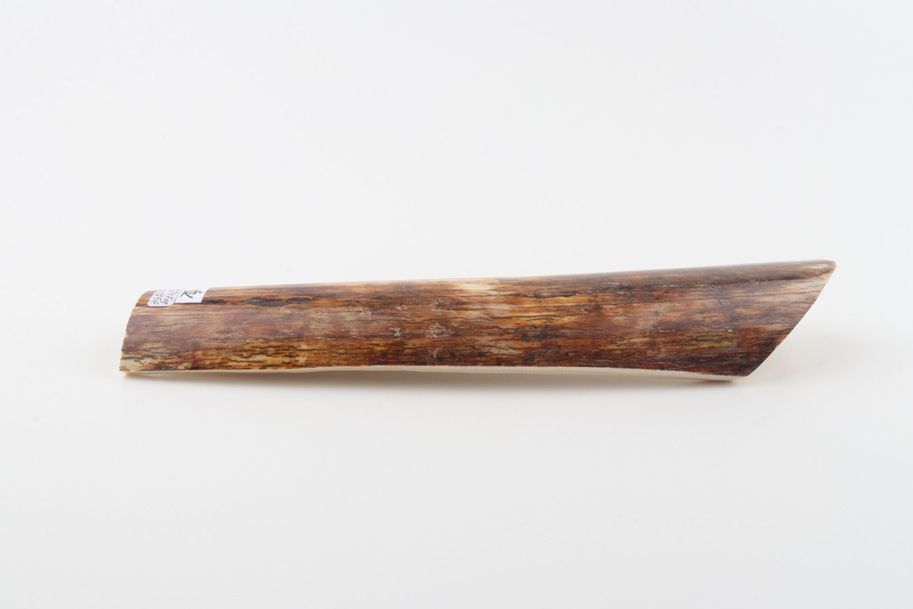 Orange-brown mammoth bark