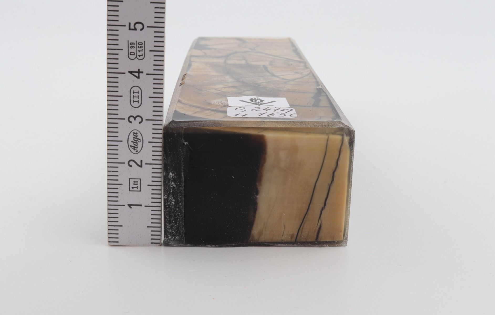 Stabilized mammoth ivory block