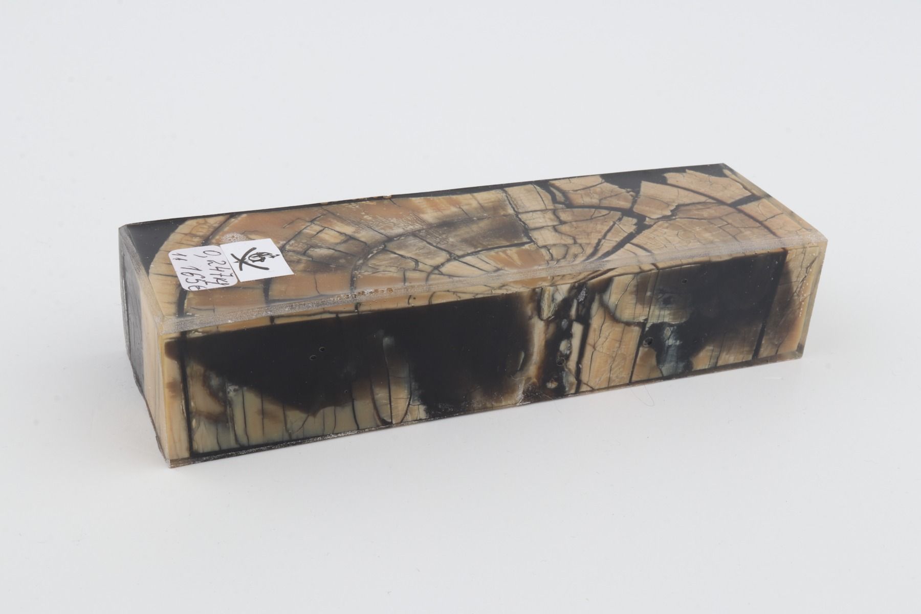 Stabilized mammoth ivory block