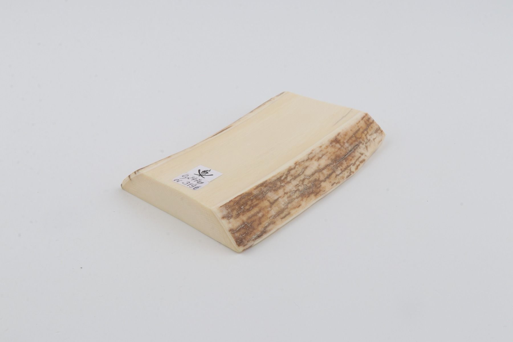 White mammoth ivory segment