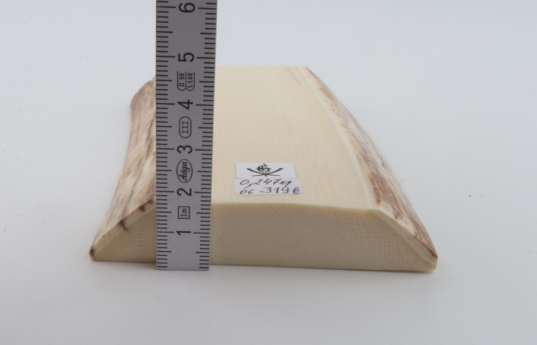 White mammoth ivory segment