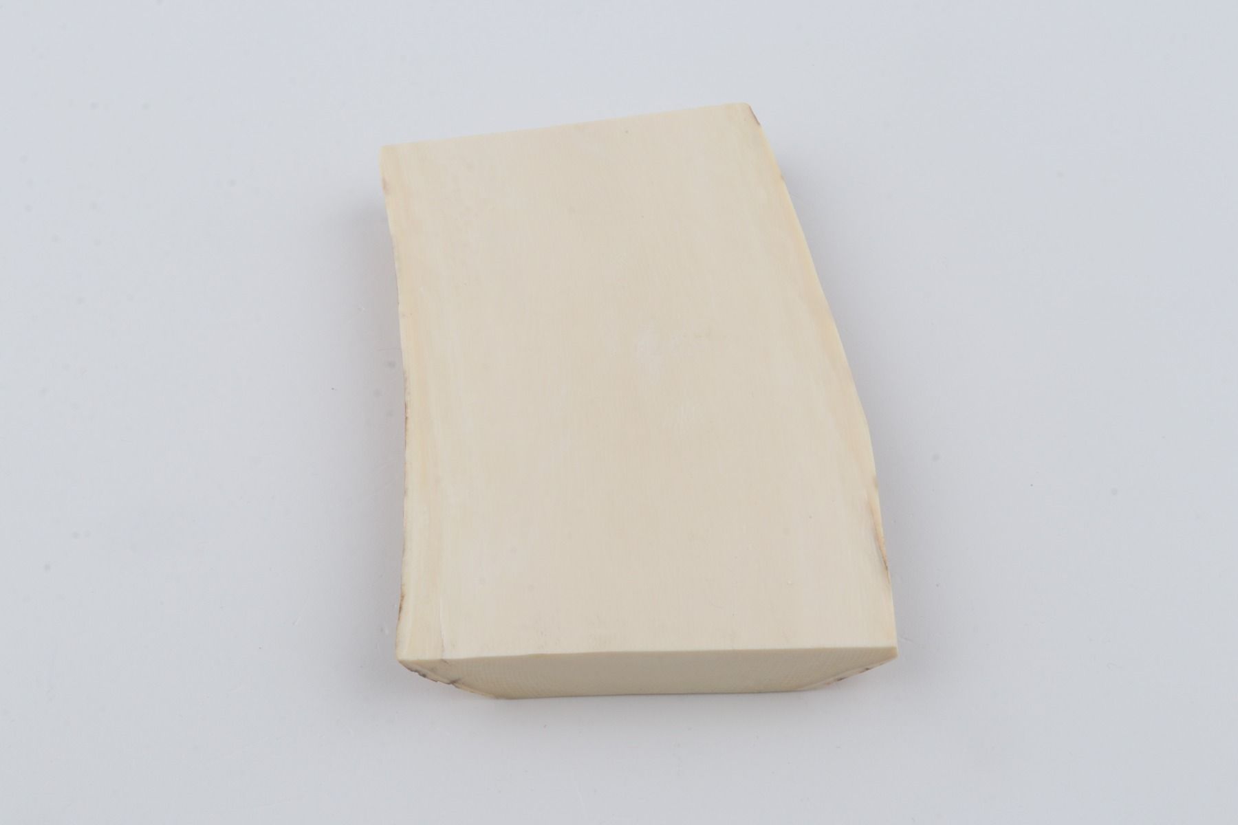 White mammoth ivory segment
