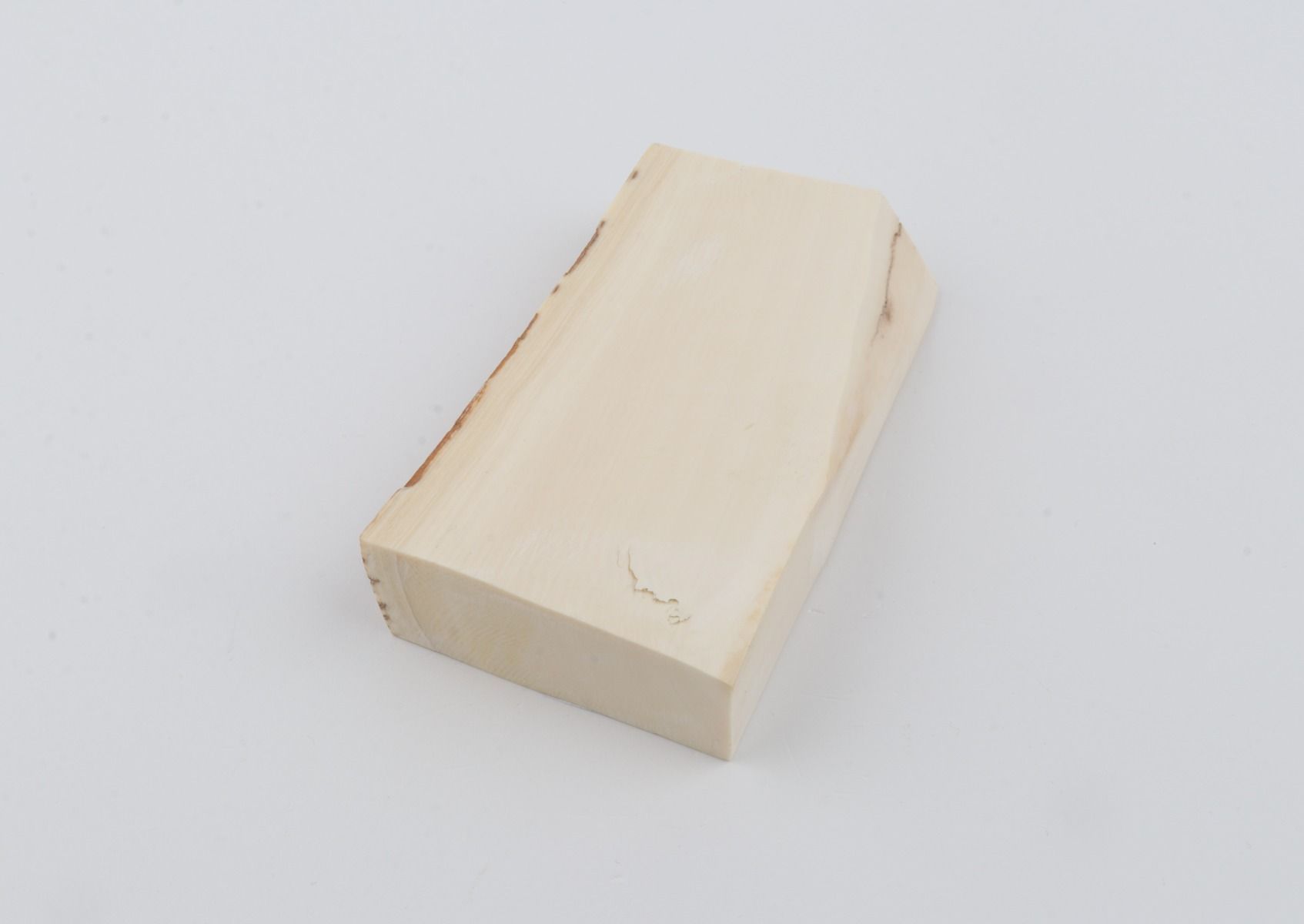 White mammoth ivory segment