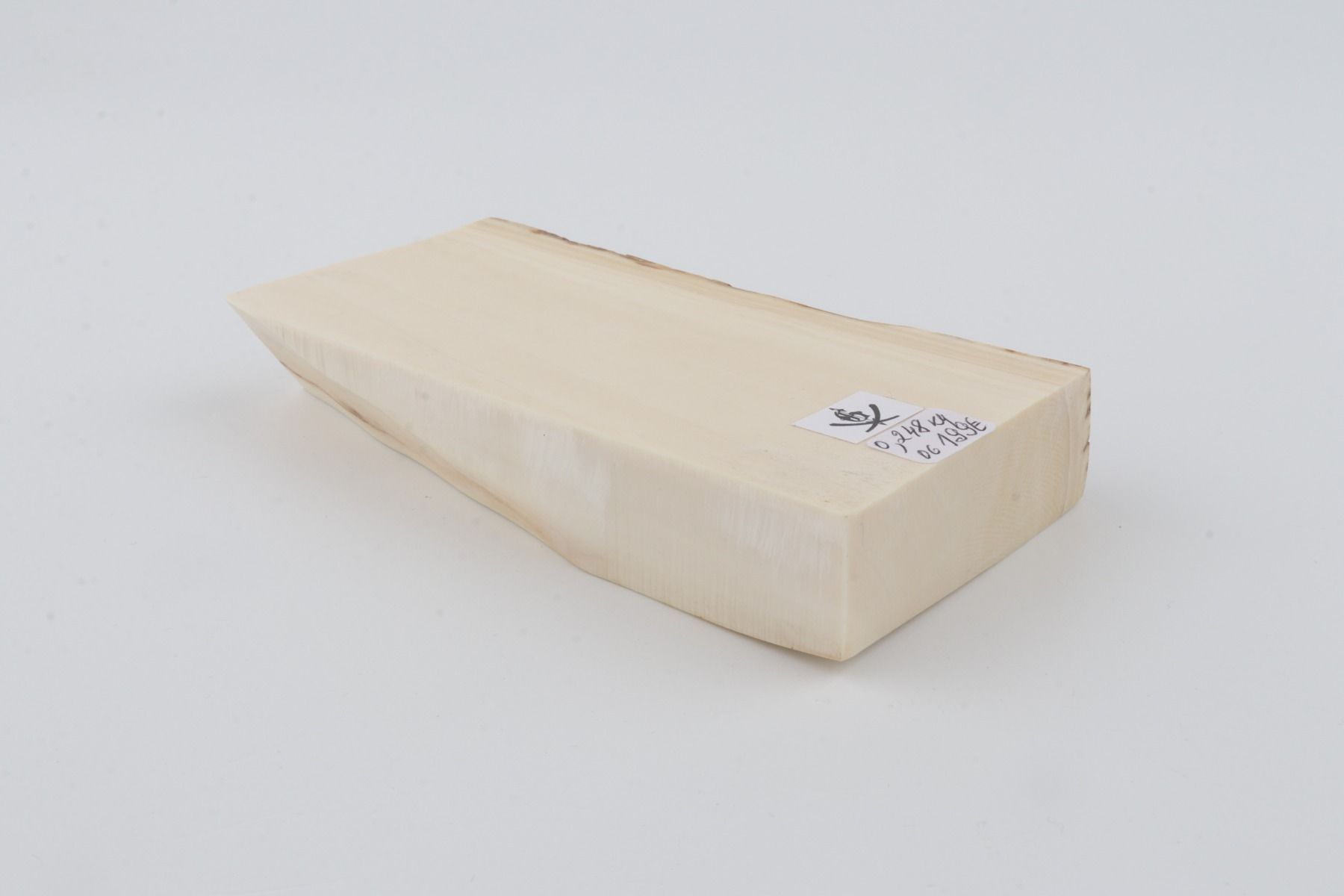 White mammoth ivory segment