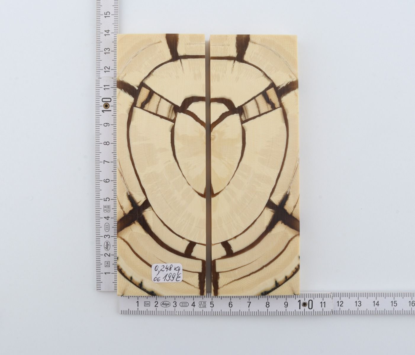 Stabilised mammoth ivory scales