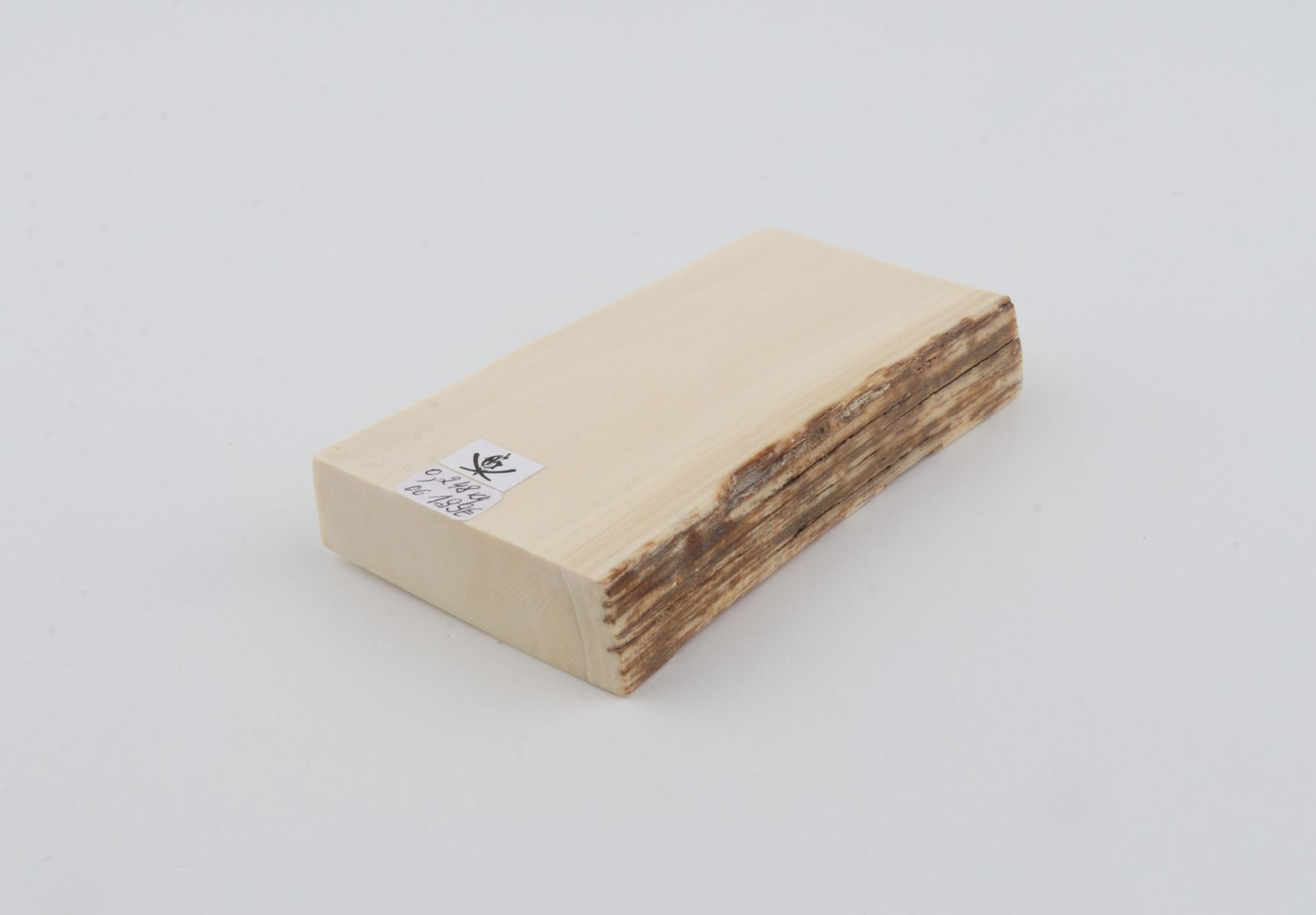 White mammoth ivory segment